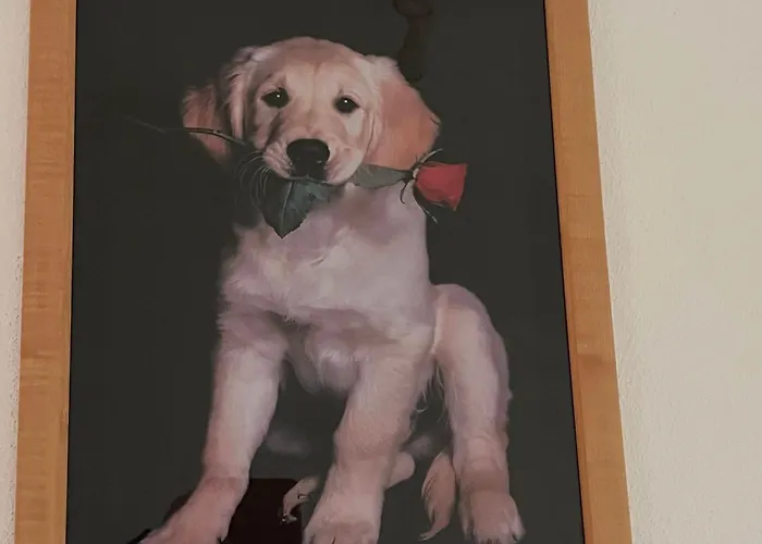 Apartamento Hundepension Almfrieden